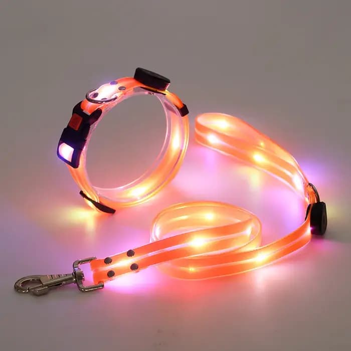 Collier lumineux pour animaux de compagnie