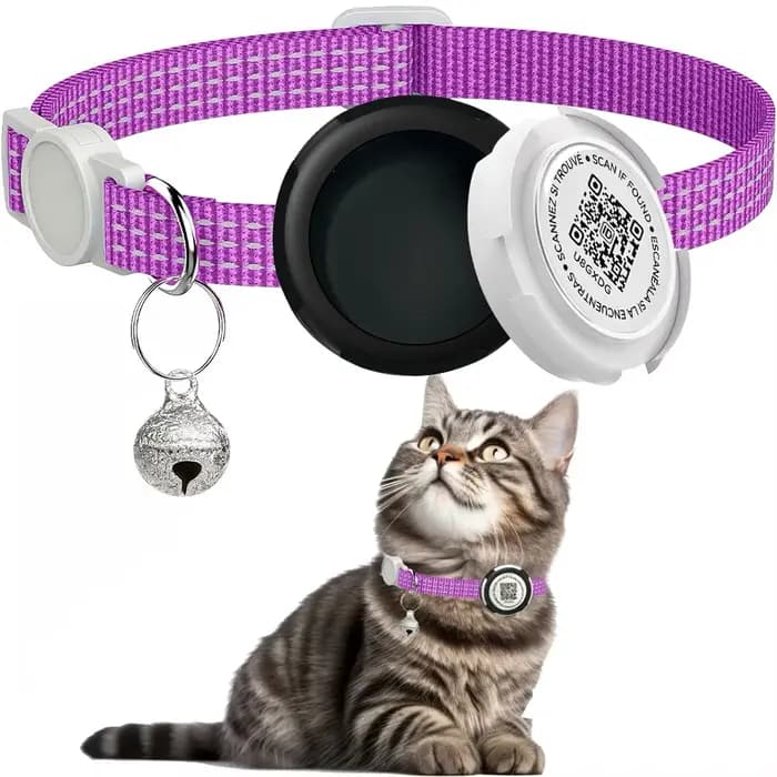 Collier chat avec boîtier de protection pour traceur GPS.étui Airtag