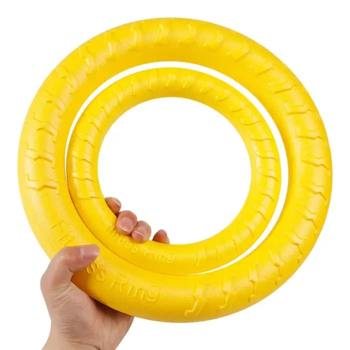 Jouets d'entraînement interactifs pour animaux de compagnie