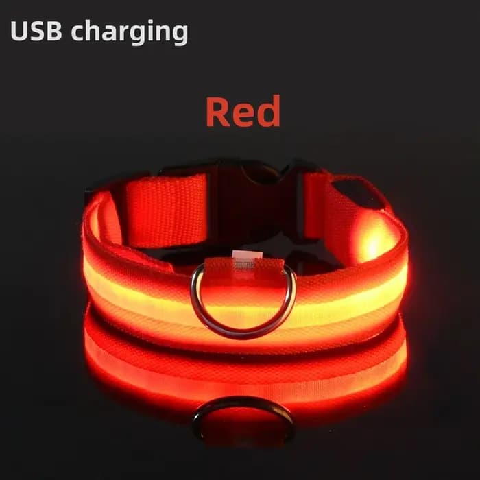 Collier lumineux LED réglable pour chien