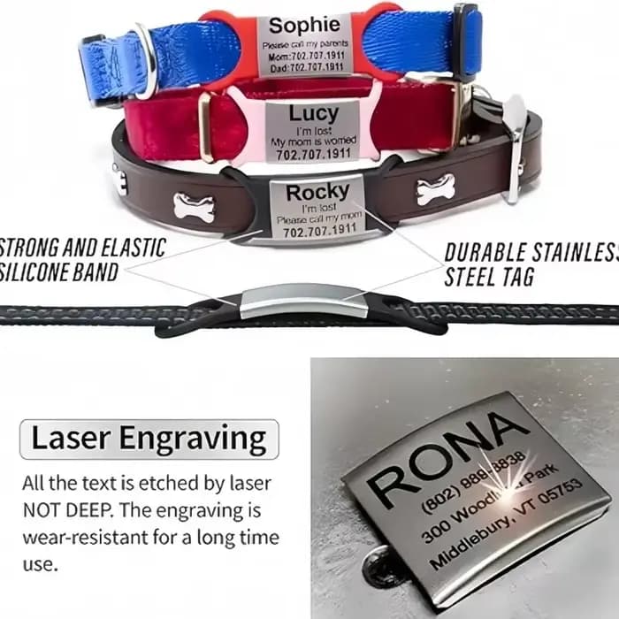 Collier personnalisé pour chien et chat, étiquette gravée, breloque avec nom, pendentif Bne, porte-c