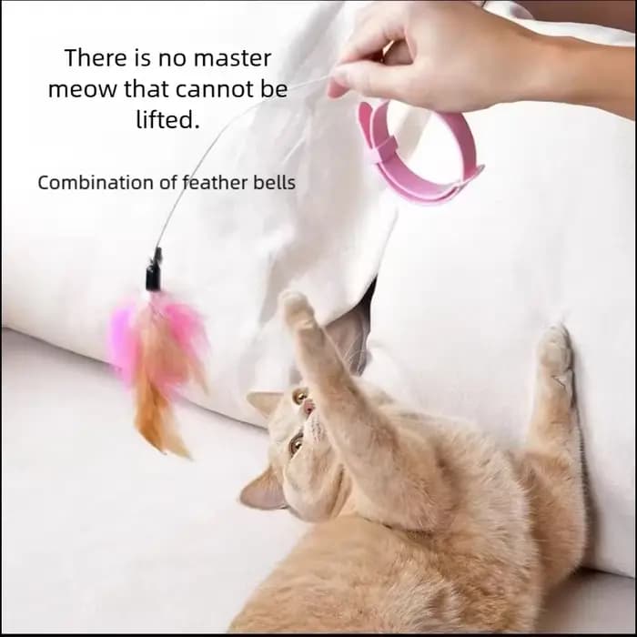 Nouveau produit : Collier jouet pour chat à plumes et clochette, pour auto-entretenement, Fournitures pour animaux de compagnie