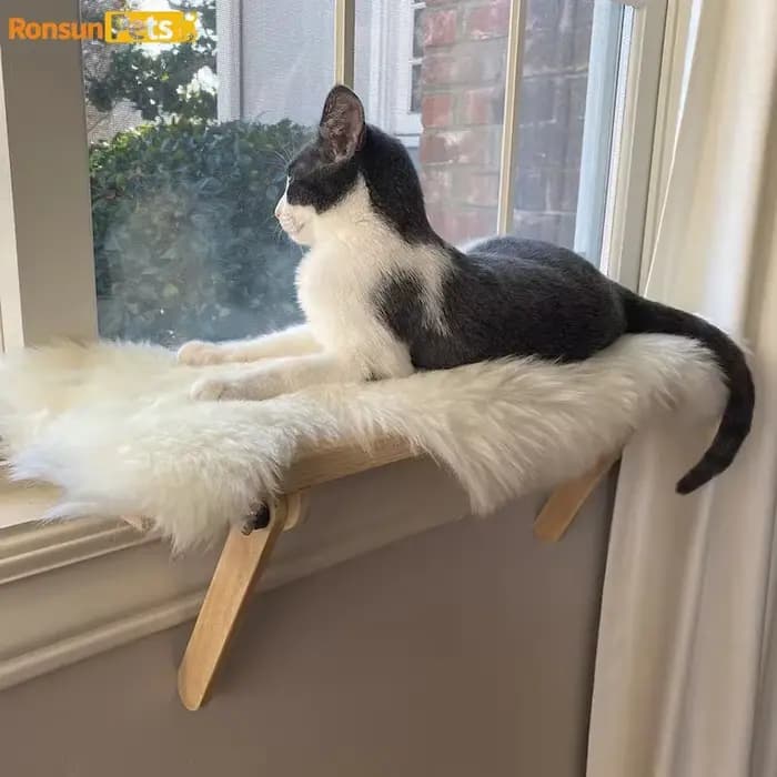 Tour d'arbre à chat en bois