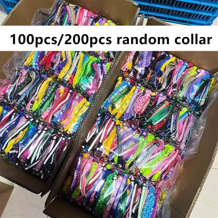 Collier pour chat avec nœud réglable, 100 à 200 pièces, pour animaux de compagnie, pour petits chiens, empreinte de chat, avec cloche, chaîne, vente en gros