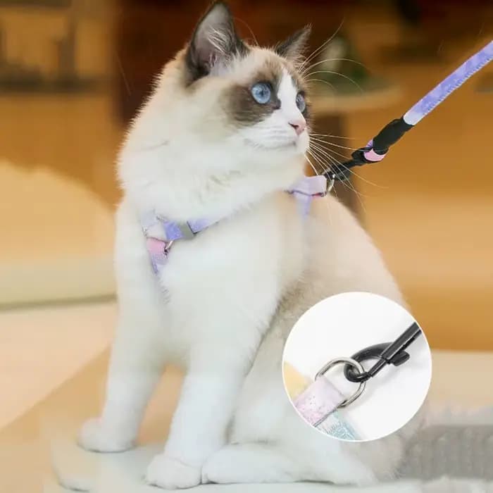 Ensemble Harnais et Laisse Réglables pour Chat, Anti-Évasion, Dégradé, Léger et Doux, pour Chatons et Chiots