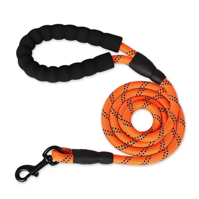 Laisse solide pour chien 150/200/300cm