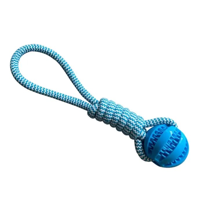 Boules de jouets pour chiens