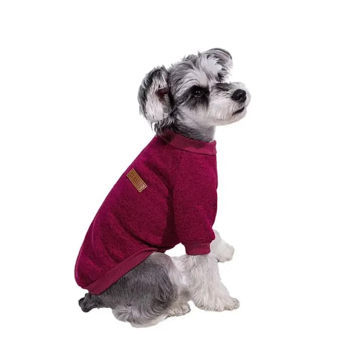 Veste pour chiot et chat