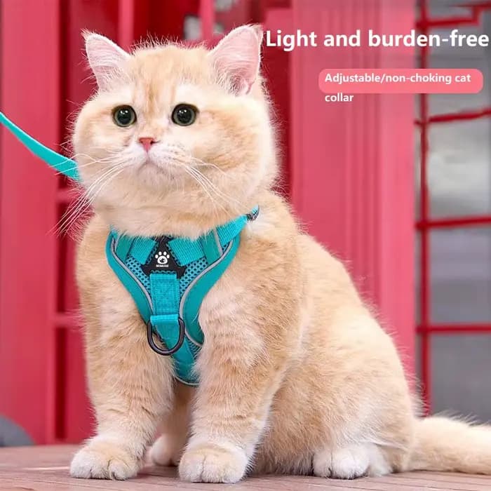 Nouvelle laisse et harnais anti-évasion pour chat
