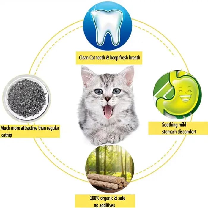 15 pièces naturel Matatabi chat herbe-aux-chats jouet chaton molaire bâton à mâcher nettoyage des dents