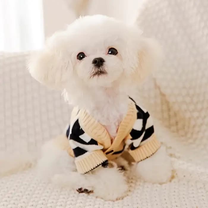 Vêtements de luxe pour petits chiens, pull chaud d'hiver pour Chihuahua bouledogue français, article