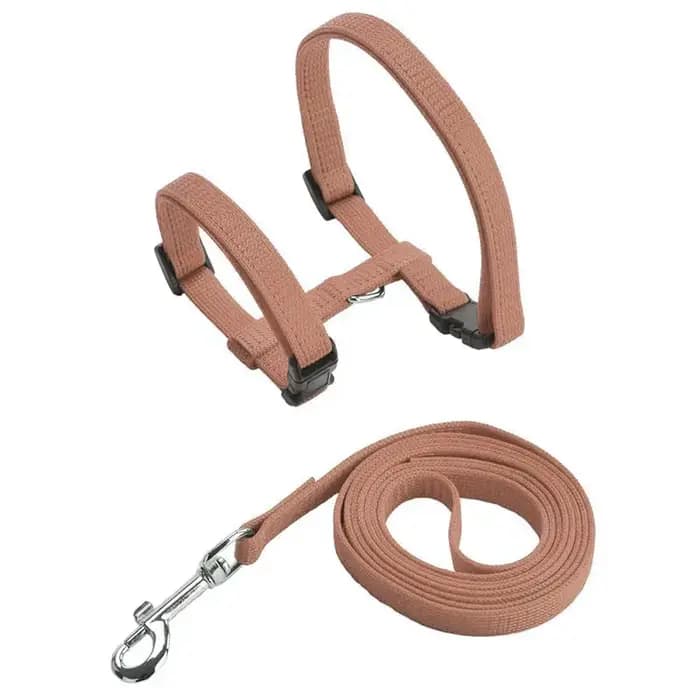 Harnais et laisse pour chat, anti-évasion, sangle en nylon réglable, collier, harnais de type H pour chats, chatons, chiots, accessoires pour animaux de compagnie