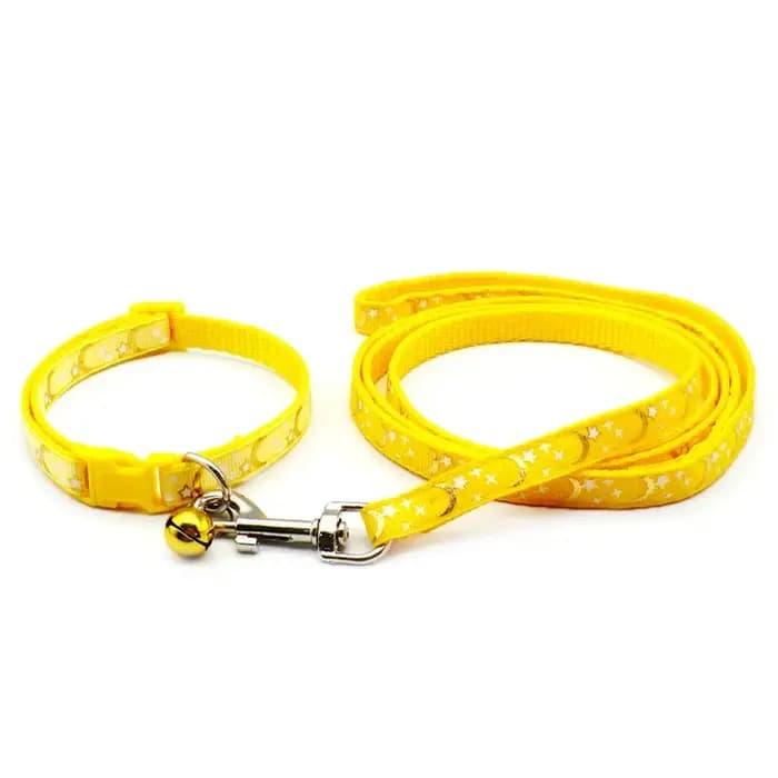 Collier pour chien et chat