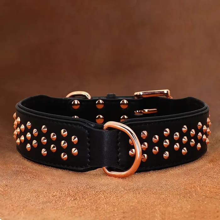 Collier en cuir clouté pour animaux de compagnie