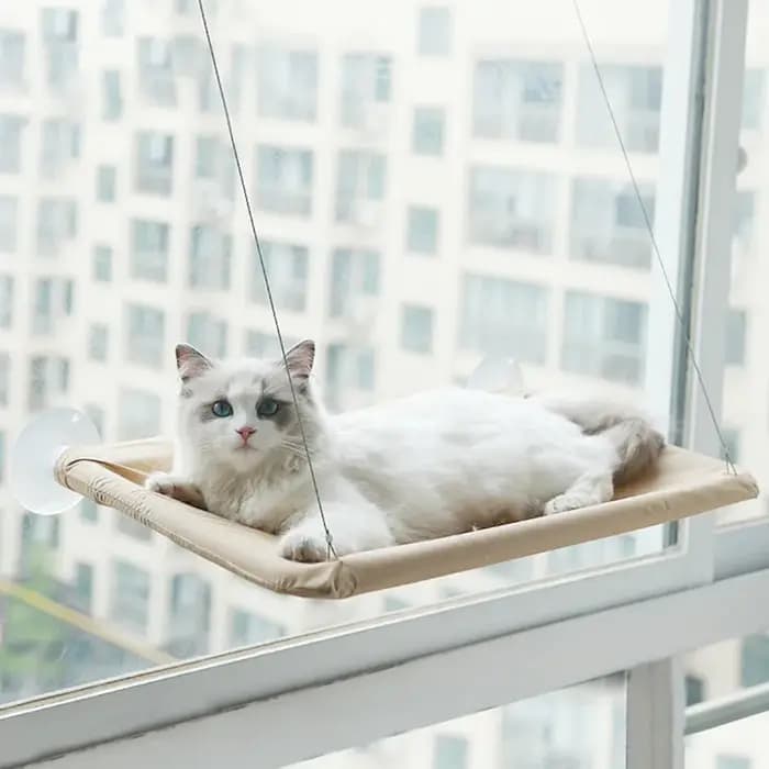 Hamac suspendu pour chat