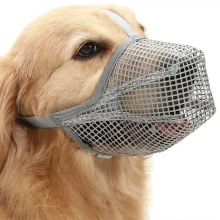 Couvre-bouche réglable et respirant pour chien