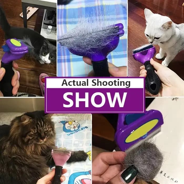 Brosse de toilettage pour animaux de compagnie, peigne d'épilation pour chiens et chats, peignes de Massage pour perte de poils de chat, brosse de nettoyage pour chat