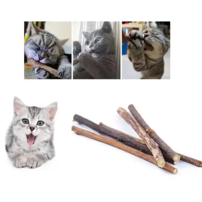 Bâtonnets à mâcher en herbe naturelle pour chats