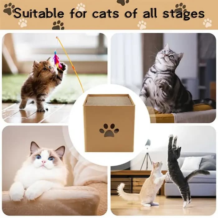 Maison en carton SOFT-Cat avec tampons à gratter