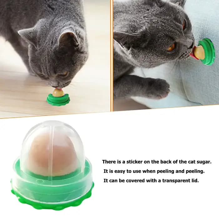 Chat herbe-aux-chats léchant bonbons Snack pour chaton Nutrition poisson Gel énergie sucre boule