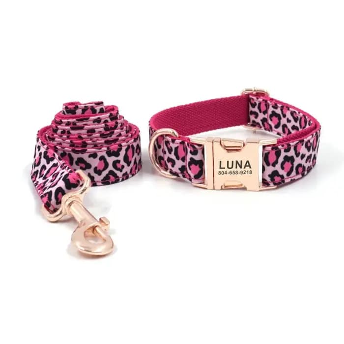 Collier de chien personnalisé colliers pour animaux de compagnie gravure gratuite ID plaque signalétique étiquette acces