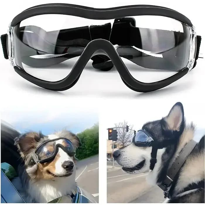 Lunettes de soleil avec sangle réglable pour chiens moyens et grands