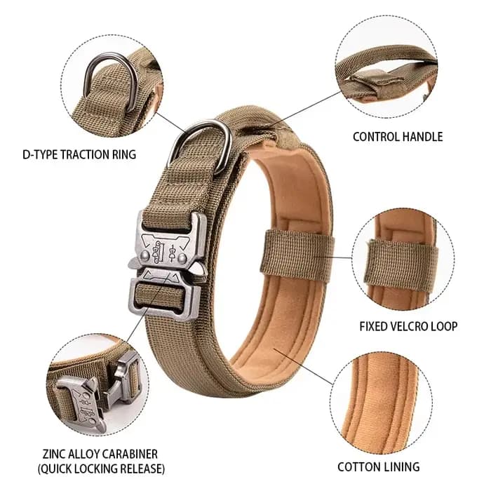 Ensemble de collier de chien durable réglable, laisse militaire pour animaux de compagnie, moyen et