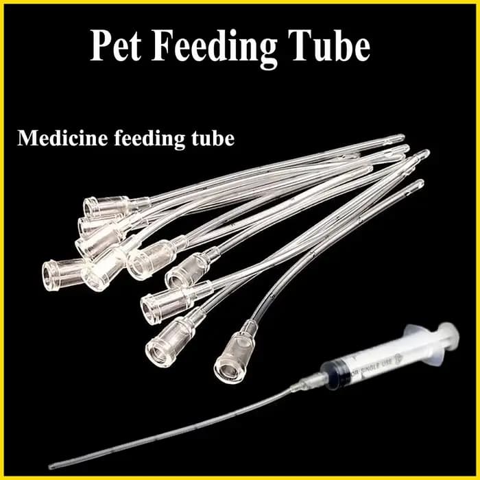 Mangeoire pour animaux de compagnie, petit Animal, Rat, chat, chien, Pigeon, perroquet, poussin, Tube d'aiguille d'alimentation, tuyau d'injection liquide, fournitures en plastique