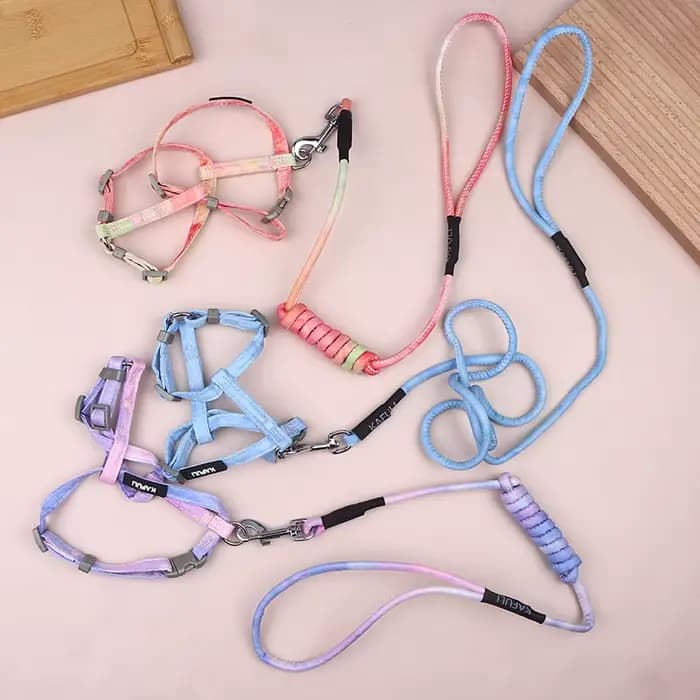 Harnais pour chaton réglable anti-évasion en tissu doux avec collier, laisse et accessoires de traction pour petit chat d'extérieur