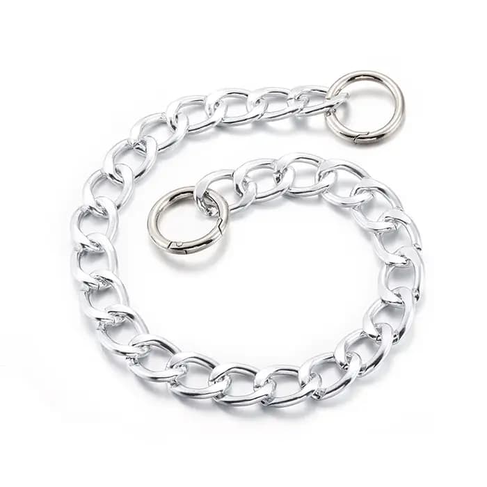 Collier de luxe pour chien