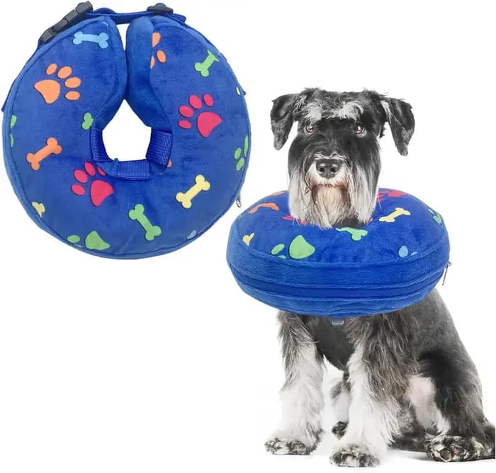 Collier de chien gonflable doux Elizabeth Cone Alternative