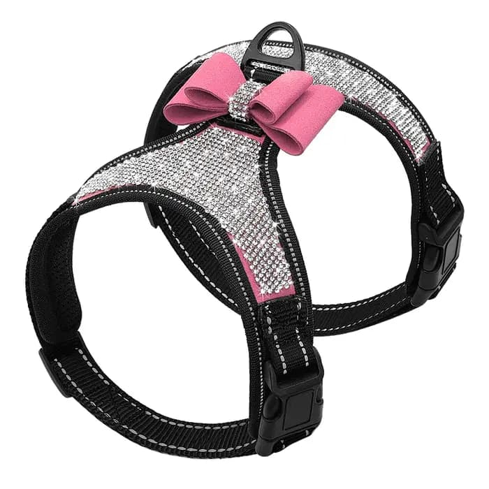 Accessoires pour chiens Bowvétérans t Bling Casting