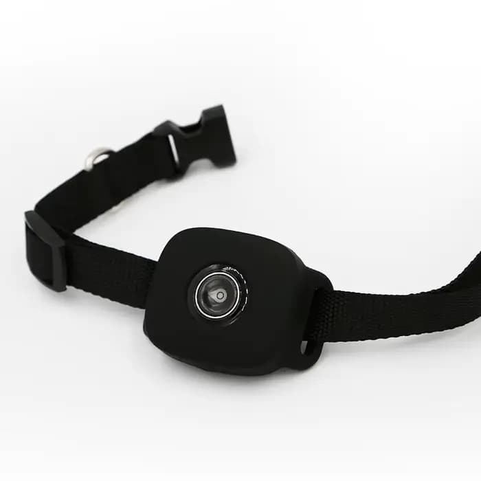 Coofull Traceur GPS 4G pour animaux de compagnie, suivi GPS en temps réel, collier pour chien, dispo