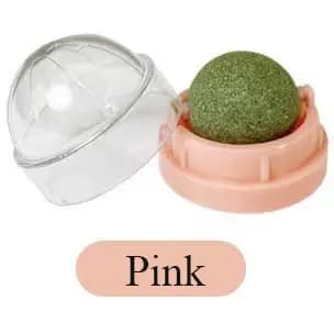 Jouet de nettoyage des dents pour chat en forme de boule de menthe