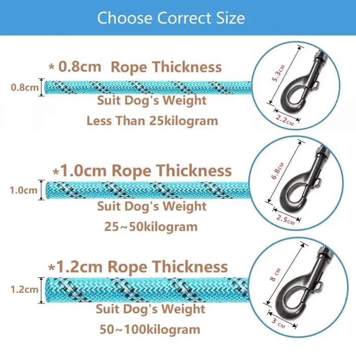 Laisse solide pour chien 150/200/300cm, laisse réfléchissante pour animaux de compagnie, pour grands