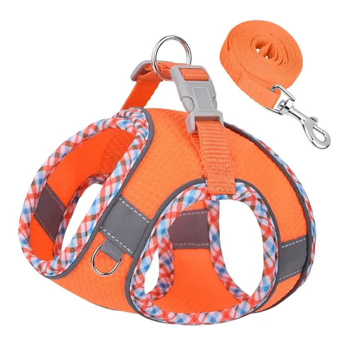 Ensemble harnais et laisse pour chien