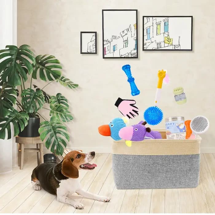 Jouets en peluche grinçants pour chiens, 10/20/50 paquets, jouets en peluche mignons pour petits et