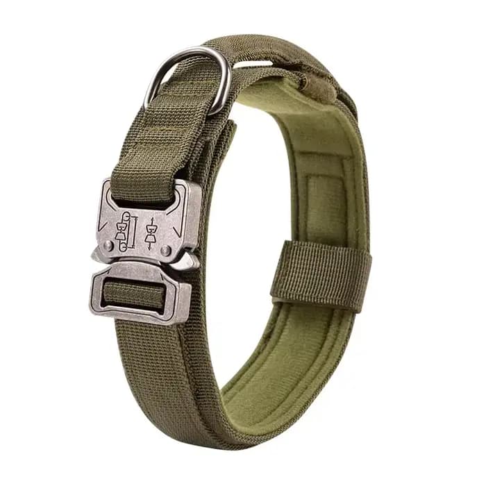 Ensemble de collier de chien durable réglable, laisse militaire pour animaux de compagnie, moyen et