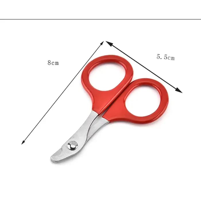 Ciseaux à ongles pour chat et chien, coupe-ongles pour orteils, produits professionnels de toilettag