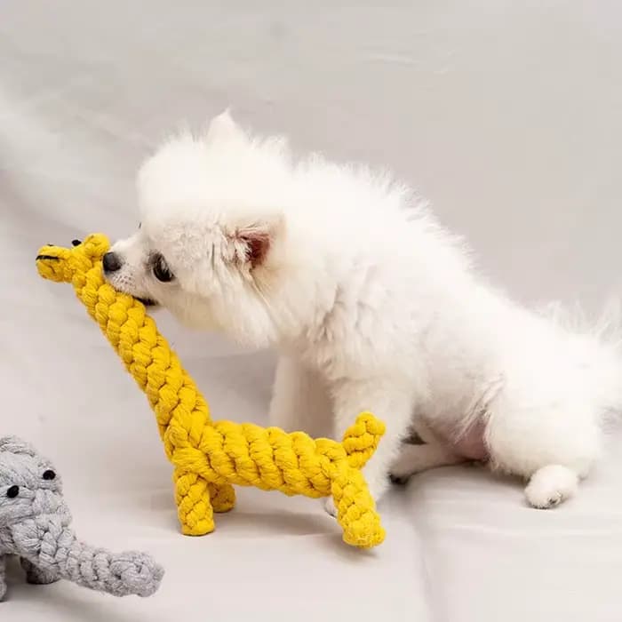 Jouet à Mâcher Résistant aux Morsures pour Chien, Petit Gabarit, Nettoyage des Dents, Chiot, Corde,