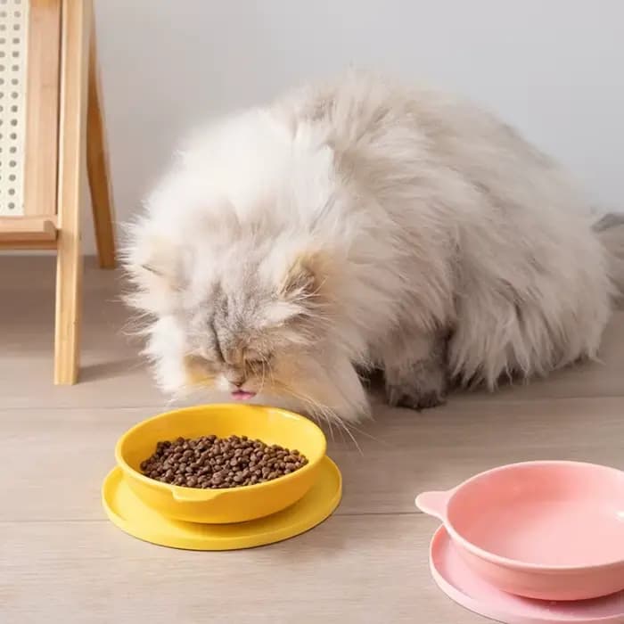 Les tapis repas pour animaux de compagnie sont anti-fuite