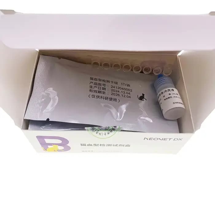 Kit de typage sanguin félin pour animaux de compagnie, carte de test de raid de poulet, fournitures