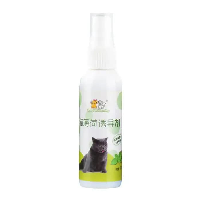 Spray d'herbe à chat pour chat, naturel, sain, sûr, effet à long terme, chatons, attractif, entraînement pour animaux de compagnie, fournitures pour animaux de compagnie, 50ml