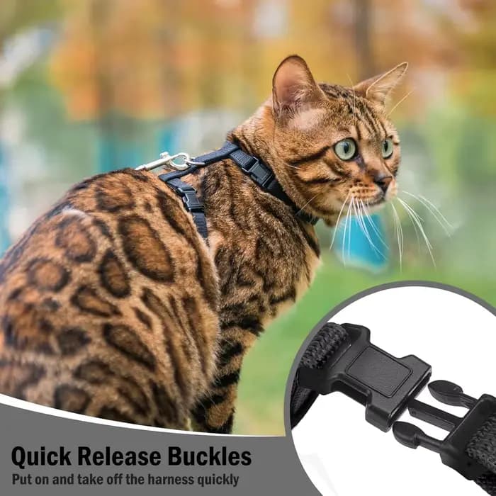 Harnais et laisse pour chat, anti-évasion, sangle en nylon réglable, collier, harnais de type H pour chats, chatons, chiots, accessoires pour animaux de compagnie