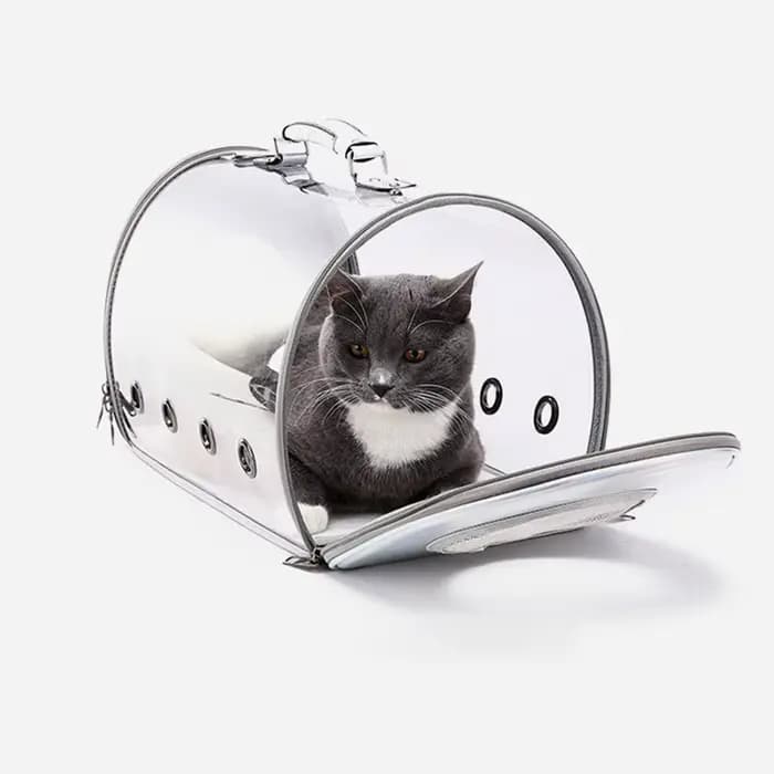 Nouveau transporteur pour animaux de compagnie Portable chiens chat Cage transparente sac à dos Transport sac à main respirant pour petits animaux chien chaton chiots