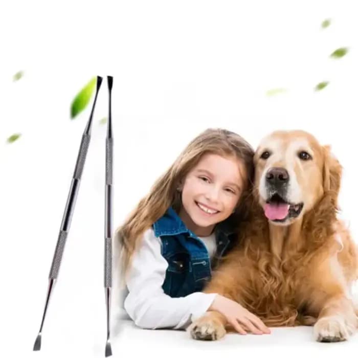 Outil de livres de dents pour animaux de compagnie, acier inoxydable, double tête, dissolvant de tar