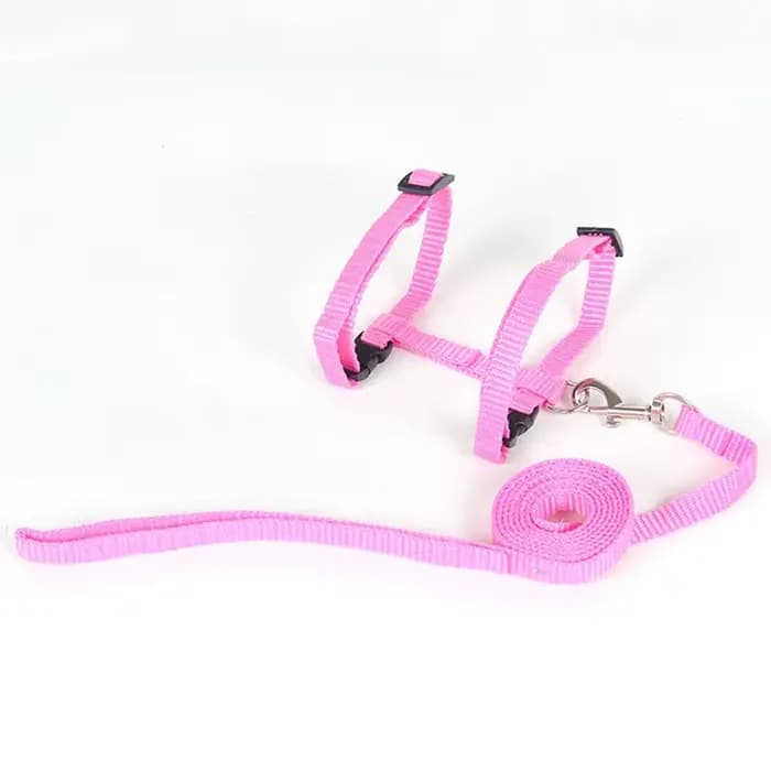Ensemble harnais et laisse pour chat Sphynx bon marché, harnais pratique pour animaux de compagnie,