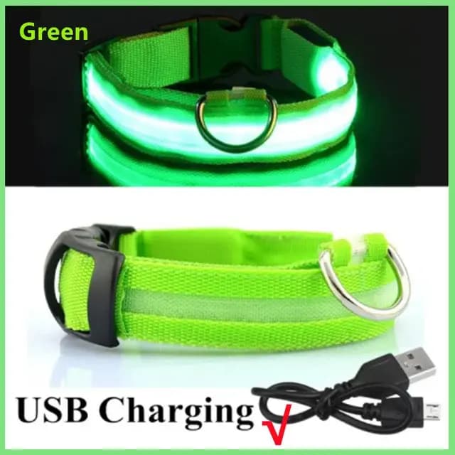 Collier de chien lumineux LED réglable clignotant Rechargea