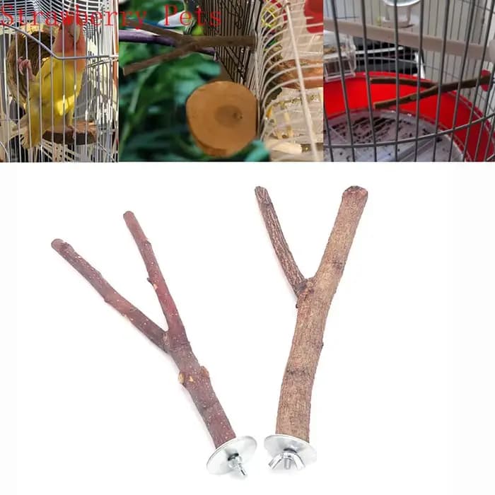 Parrot en bois naturel pour animaux de compagnie, fourchette en bois brut, support de branche d'arbr