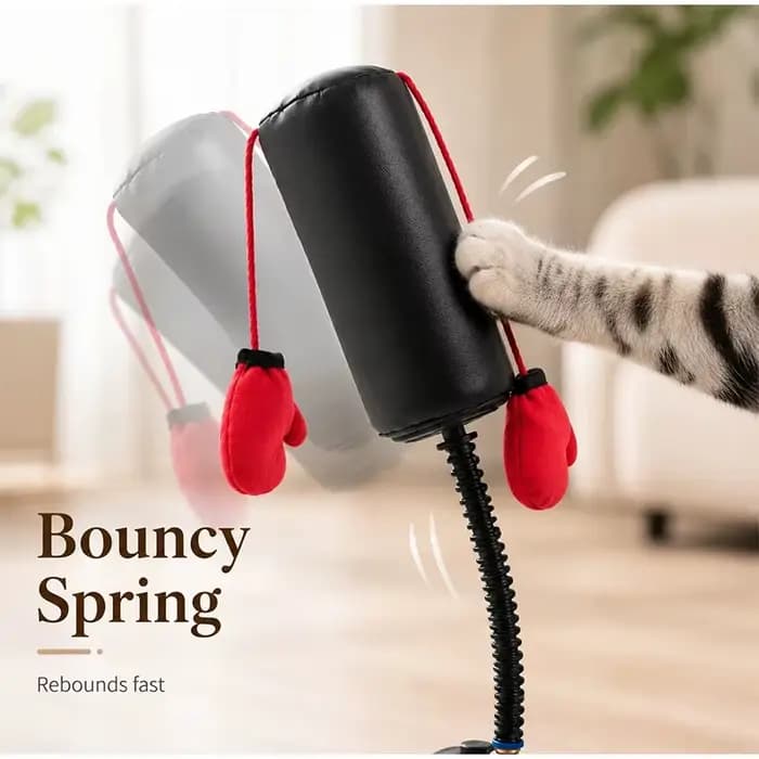 Jouet interactif de boxe pour chat, divertissement multifonctionnel pour la relaxation et l'exercice, pour chats d'intérieur et chatons